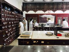 -雷允上(南京西路店)