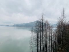 -四明湖