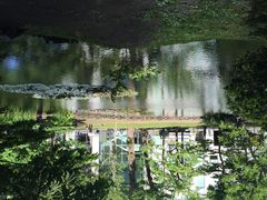 旧道厅-北海道厅旧本厅舍(旧本庁舎)