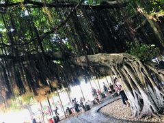 -胡里山炮台