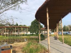 -光明小镇欢乐田园