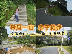 -黄埔油麻山森林公园