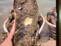 -蠔爺王志德生蚝馆(金沙湾店)