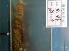 -抹直口特色菜馆(一店)