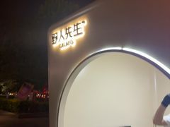 -野人先生现做冰淇淋(北京环宇荟店)