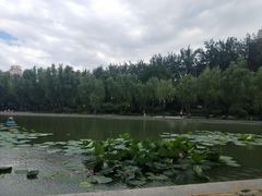 -青年湖公园水上世界