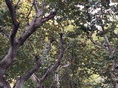 -上海孙中山故居纪念馆