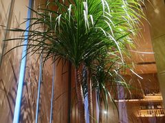 -良木缘咖啡西餐(太古里店)