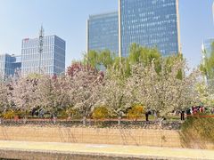 -元大都城垣遗址公园