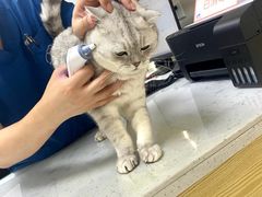 -芭比堂动物医院·24小时·眼科中心(深圳中心)