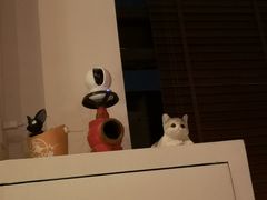 -Catail前苑(前门大街店)