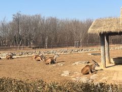 -济南野生动物世界