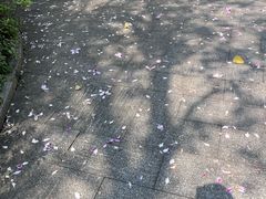 -柳侯公园