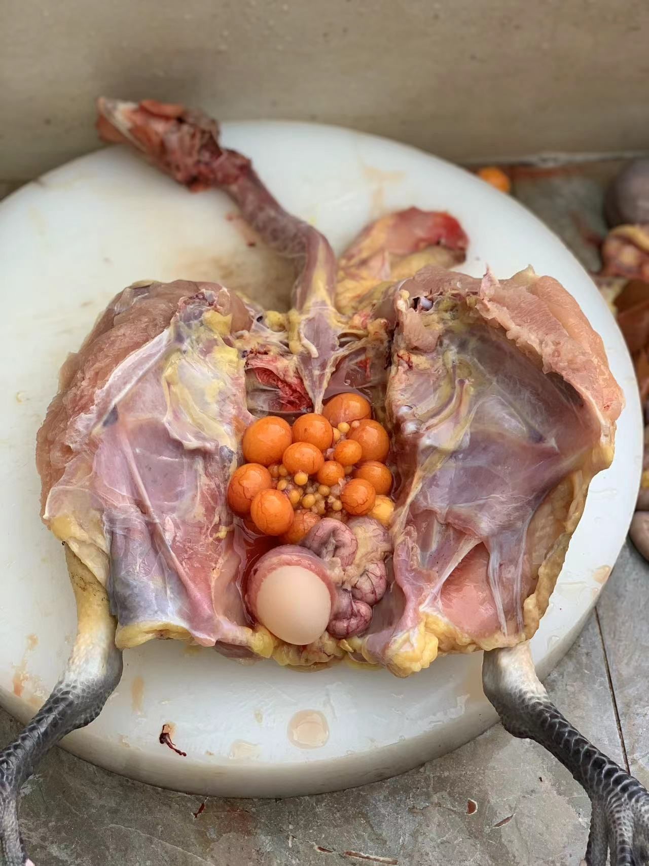 鸡是现杀的,食材新鲜,烹饪技艺精湛,特别好吃