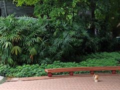 -晓港公园