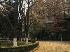 -熊猫一间店欧式奶茶铺