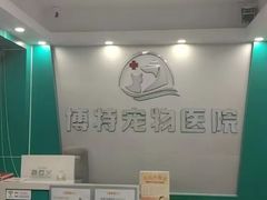 -博特宠物医院24h犬猫全科.骨科·异宠