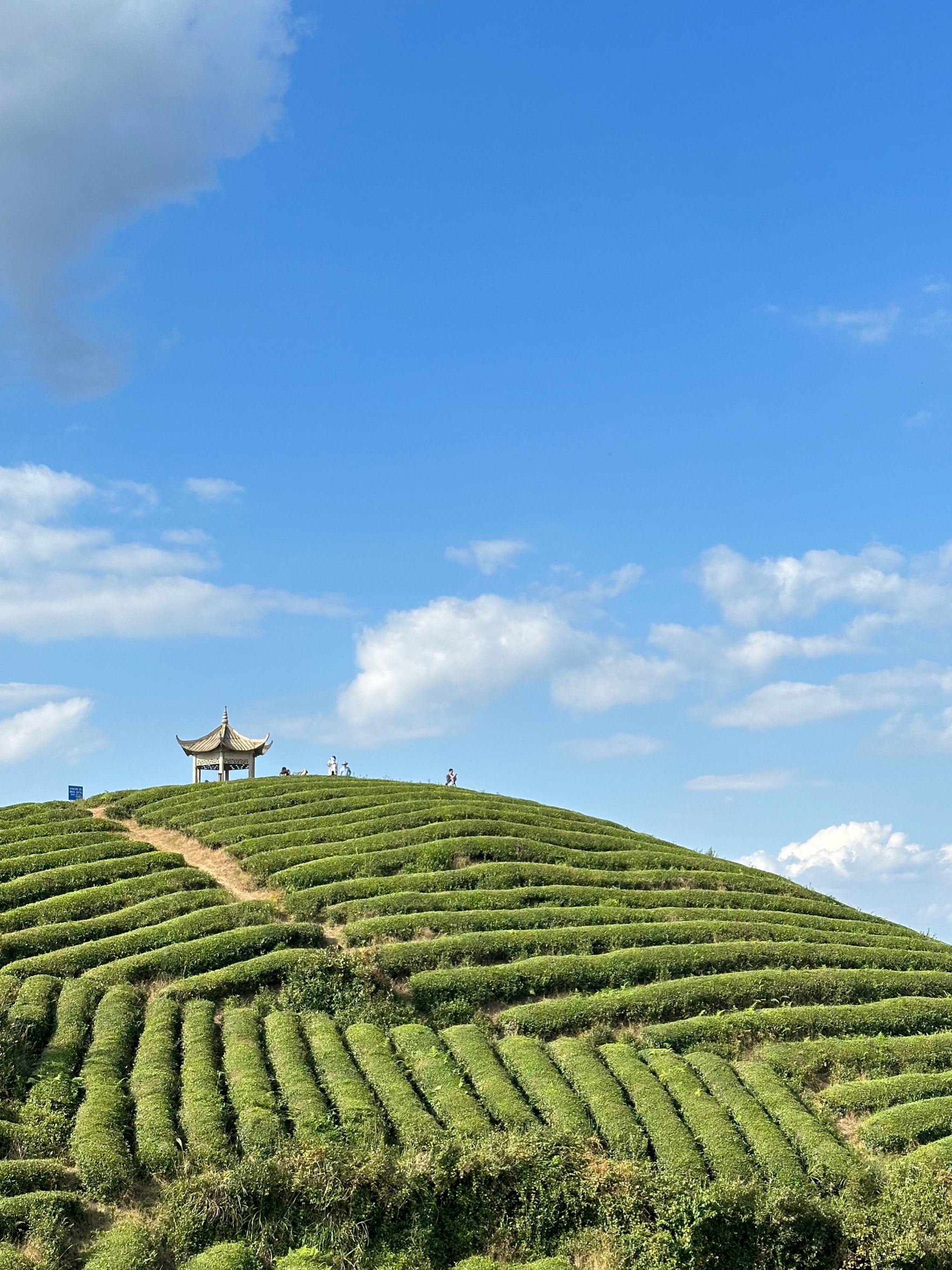 横溪金山村图片