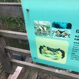 出示了绿色随申码和提前买的门票才入园
