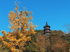 -牛首山文化旅游区