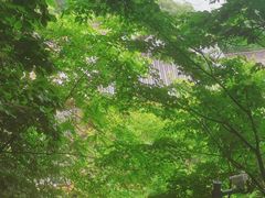 -终南山南五台景区