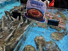-紫阳海鲜楼·传承闽味(长乐路总店)