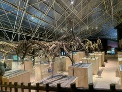 -世界恐龙谷景区