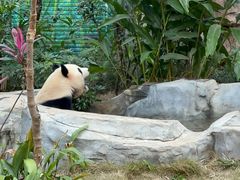 -灵玲国际马戏城