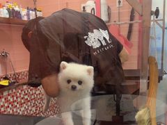 -FAELING PETS美天灵宠物(合生汇店)