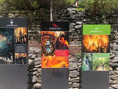 -怀托摩萤火虫洞