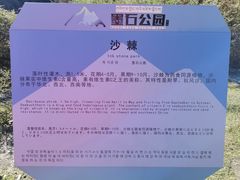 -墨石公园景区