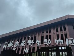 -青藏高原野生动物园