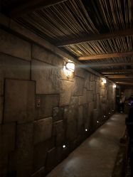 -翱翔飞越地平线