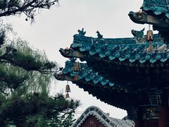 -迎泽公园