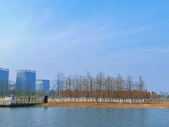 -春花秋色城市公园