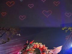 -广州长隆欢乐世界
