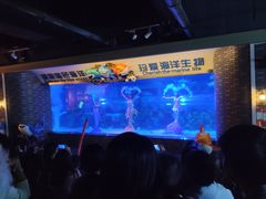 -成都浩海立方海洋公园