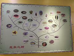 -上海昆虫博物馆
