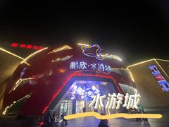 -鹏欣水游城