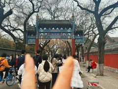 -北京国子监胡同