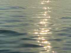 -西湖游船