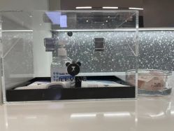 -三只熊皮肤管理中心旗舰店