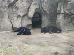 -南昌动物园