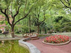 -TIMO COFFEE 阿拉校园面包