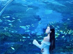 -海合安成都极地海洋公园