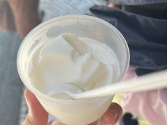 -洪馨椰子