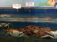 -海九澎湖海鲜餐厅