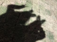 -大塘金香草谷