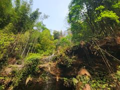 -蜀南竹海景区