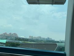 -新加坡摩天观景轮